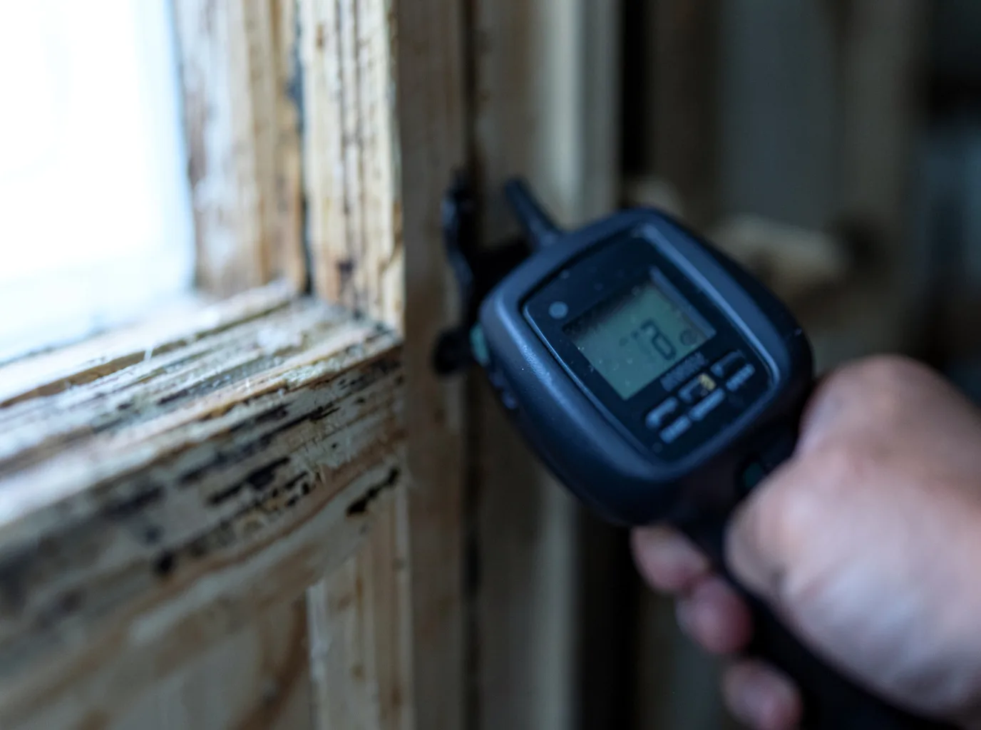 Moisture Inspection And Documentation in Buck Hill Falls, PA